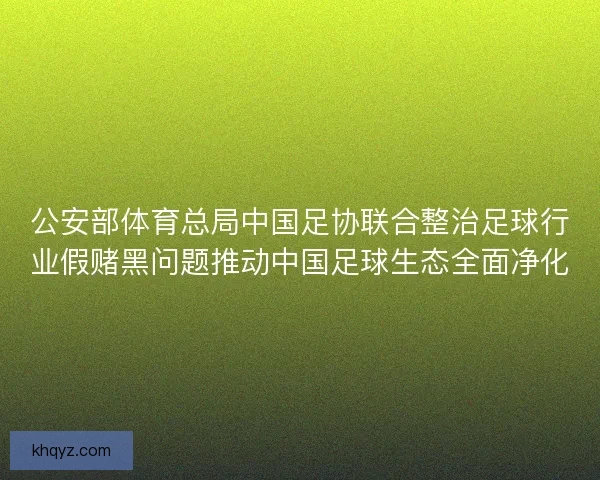 公安部体育总局中国足协联合整治足球行业假赌黑问题推动中国足球生态全面净化